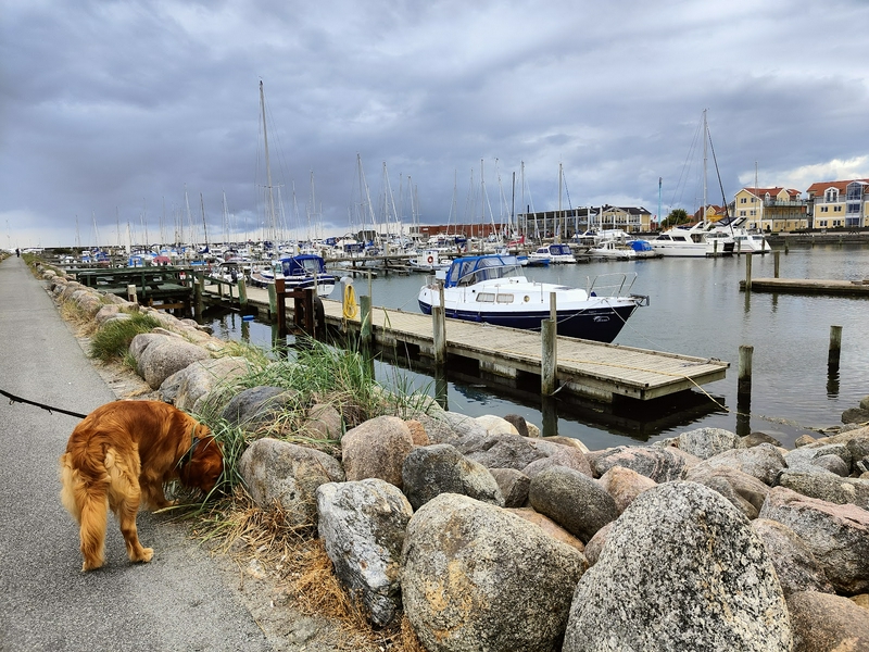 Saeby Harbour 2