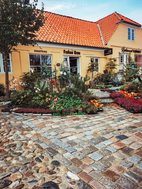 Colorful houses in the charming fishing village of Sæby, Denmark.