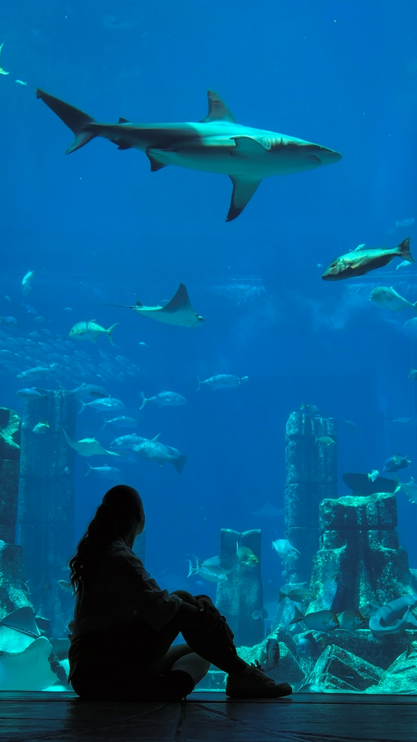 Visitors exploring The Lost Chambers Aquarium showcasing vibrant marine life including sharks and colorful fish.