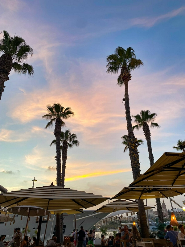 What to see or do in Malaga? hero