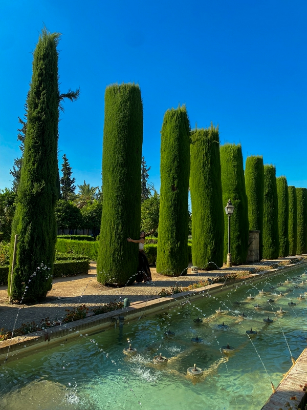 Alcazar of the Christian Monarchs 3