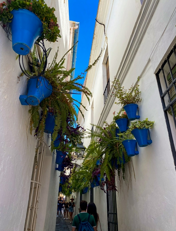 What else to do or see in Cordoba? 1