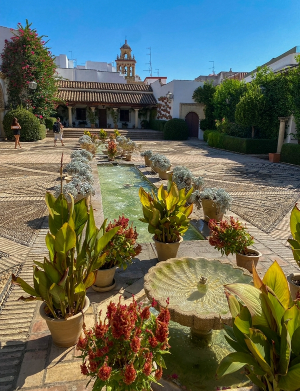 What else to do or see in Cordoba? 4