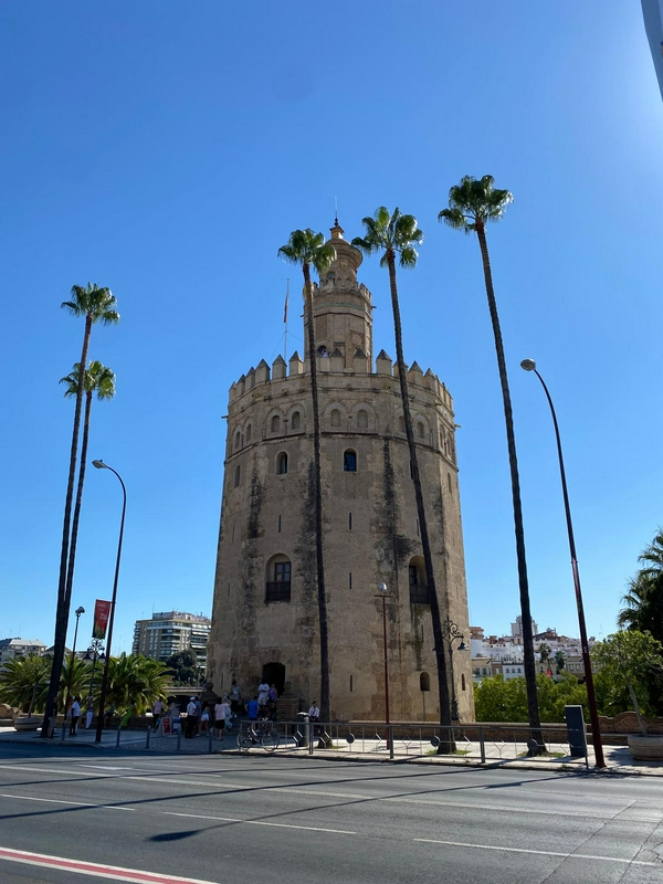 What else to do or see in Seville? hero