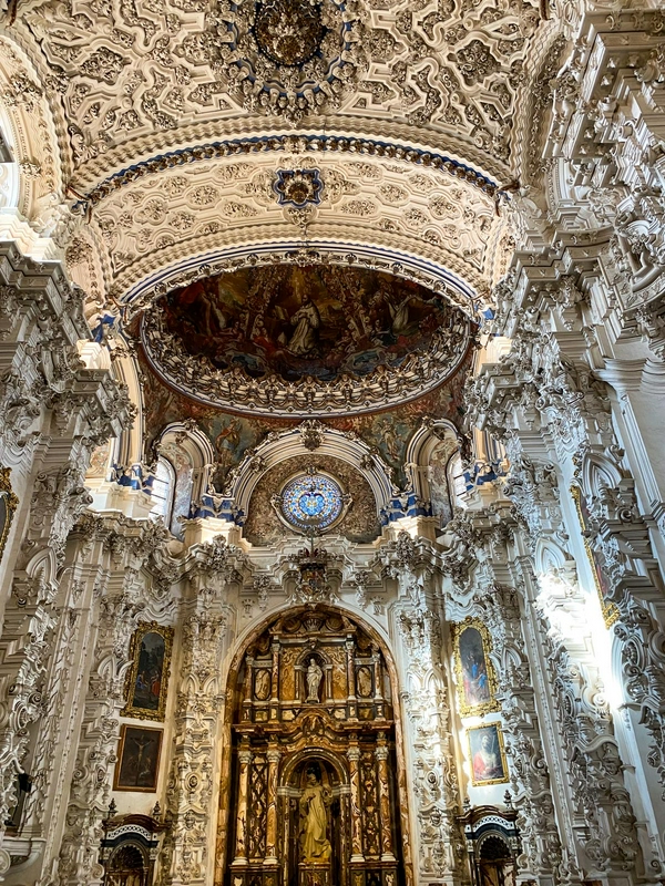 Monastery of Our Lady of the Assumption "La Cartuja" 3