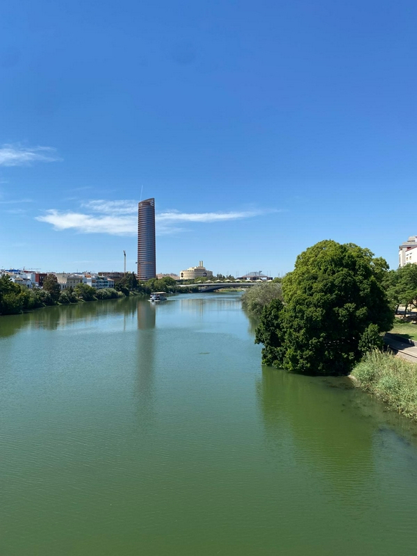 What else to do or see in Seville? 1