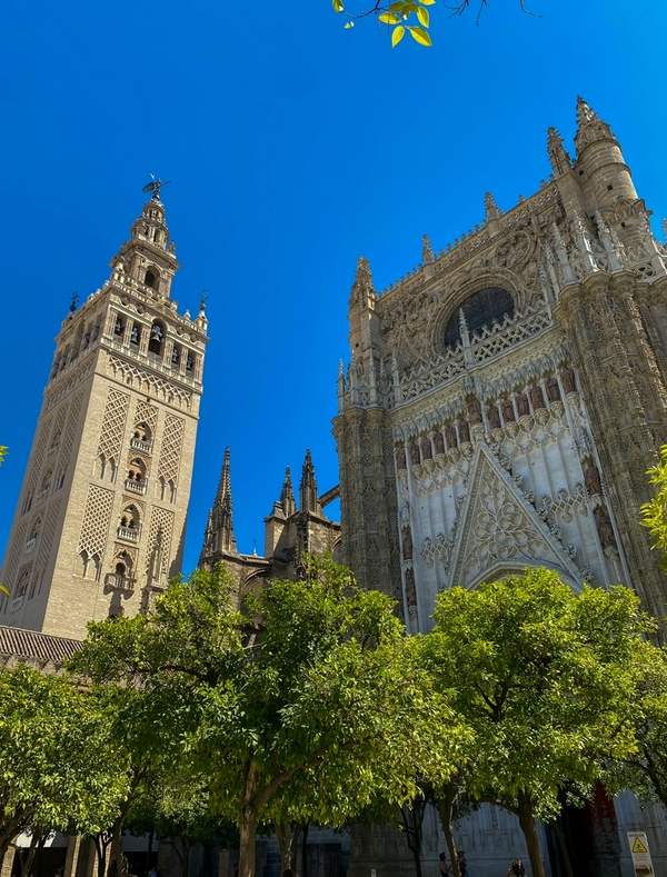 The Giralda Cathedral 1