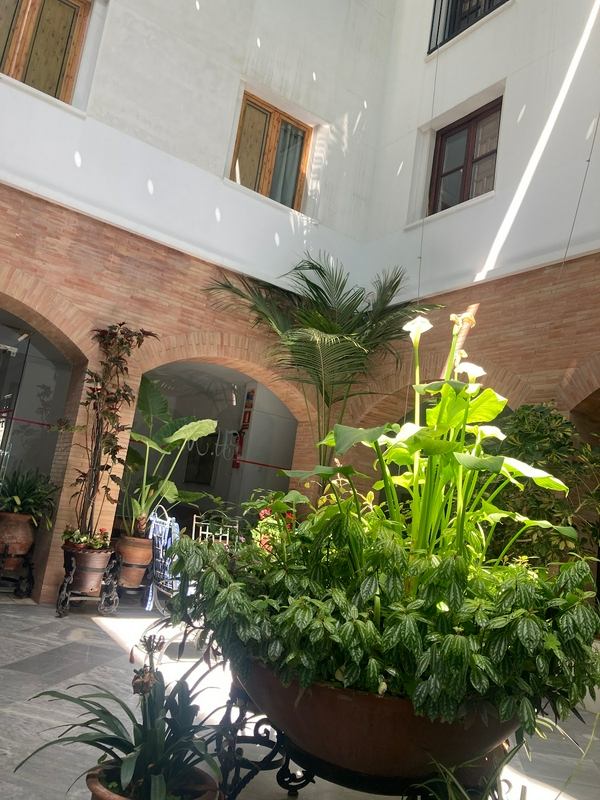 A clean and comfortable room at Hostal Maestre with amenities like air conditioning and free wifi.