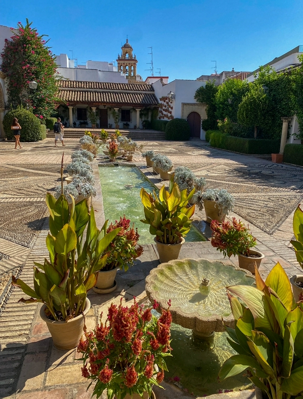 Blue pots and floral decorations in Cordova's charming streets.
