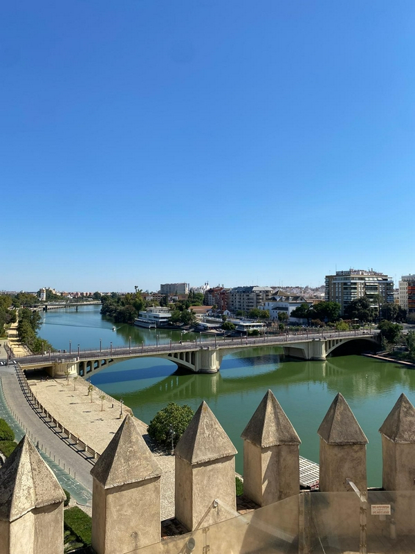 A scenic boat tour on the Guadalquivir River in Seville, showcasing landmarks like Torre del Oro.
