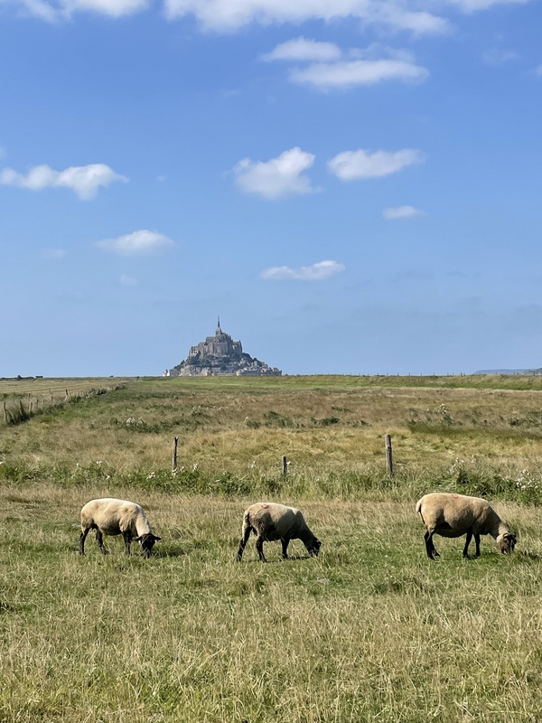 Normandy on the road 1