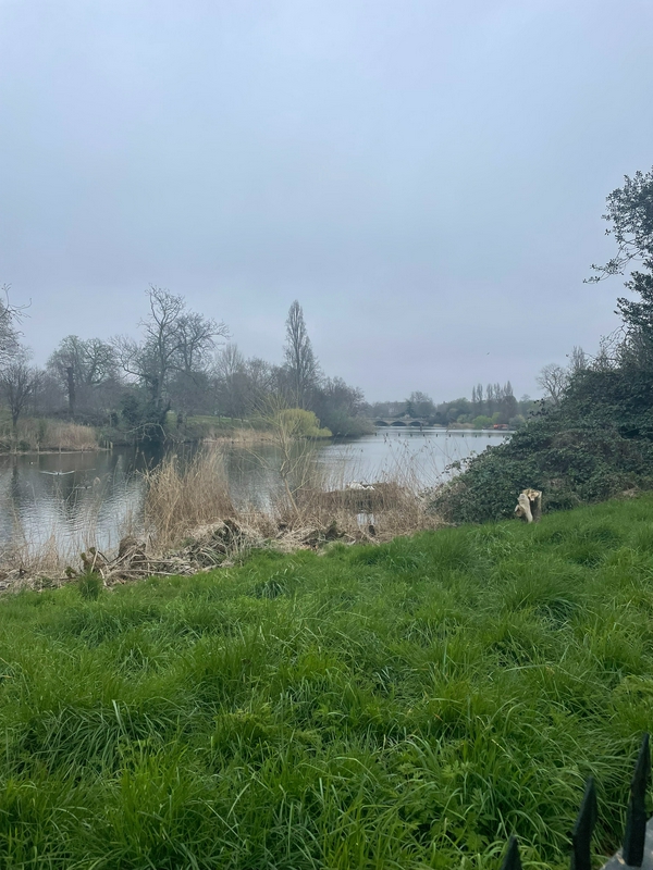 Kensington Gardens hero