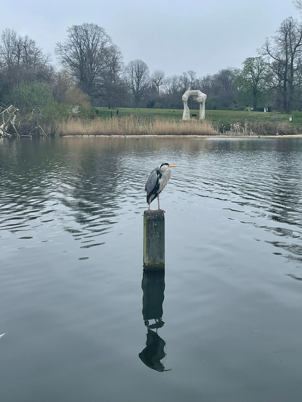 Kensington Gardens 3