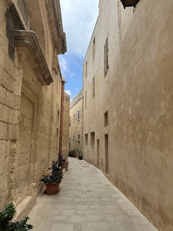 Mdina Old City Fortress 1
