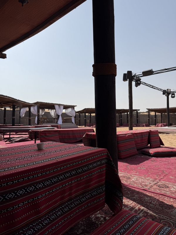 Desert Safari Dubai 3