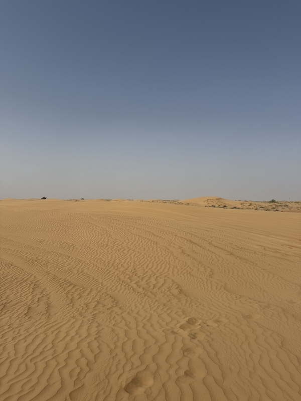 Desert Safari Dubai hero