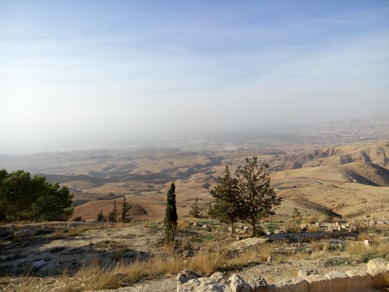 A vast landscape featuring rolling hills, a vibrant sky, and a solitary tree under the horizon.