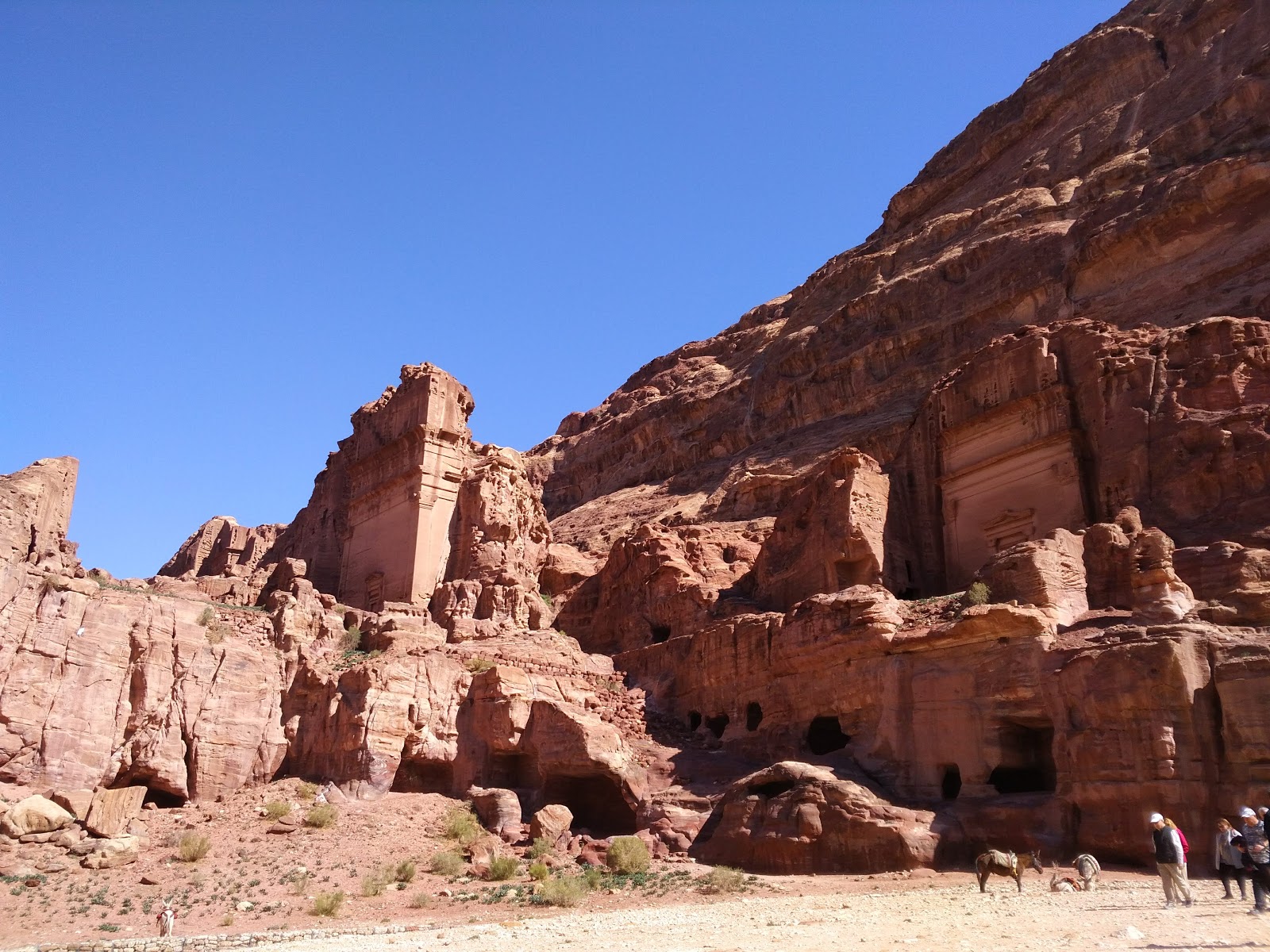 The Treasury 2