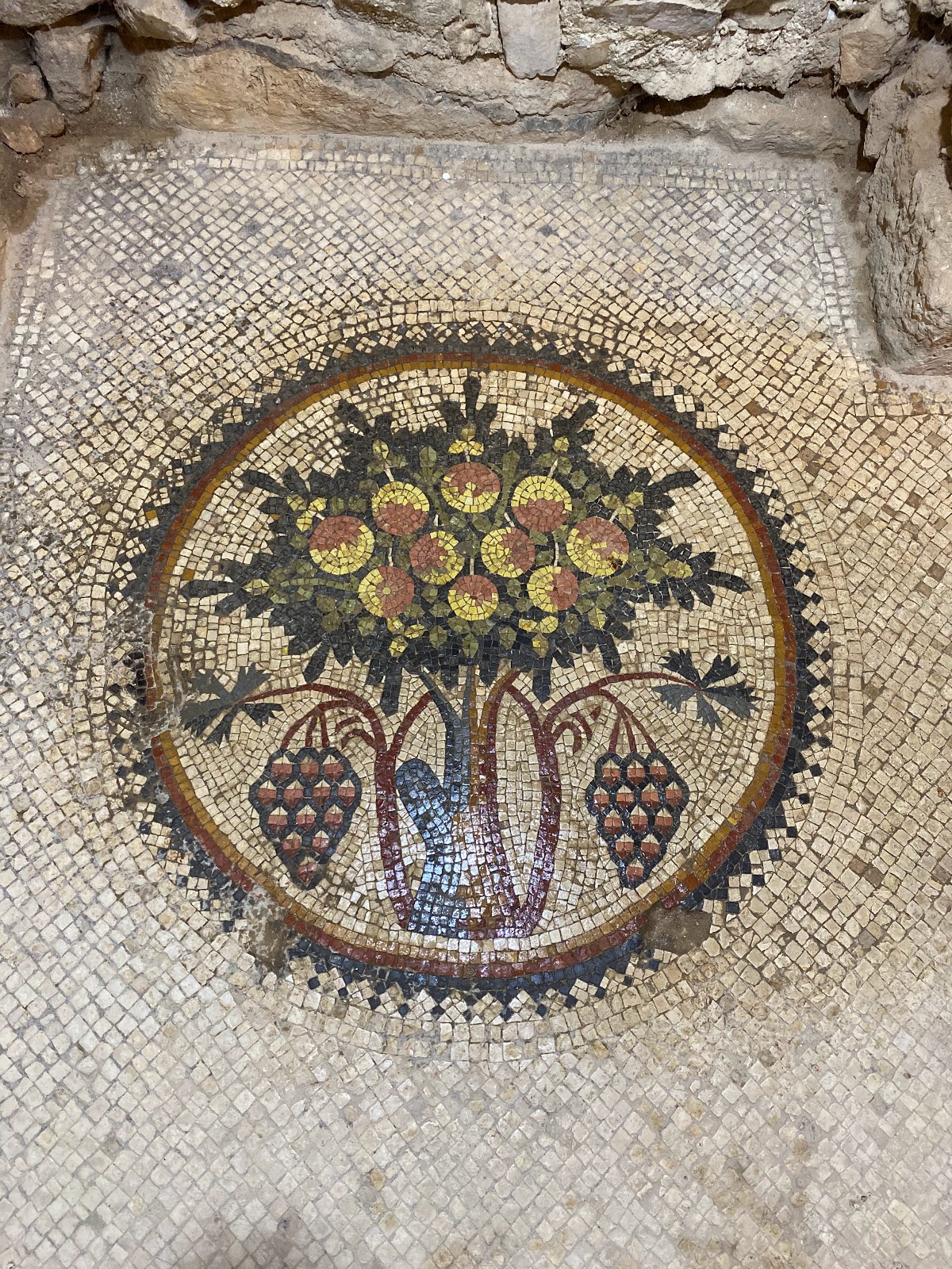 Madaba Archaeological Park 4