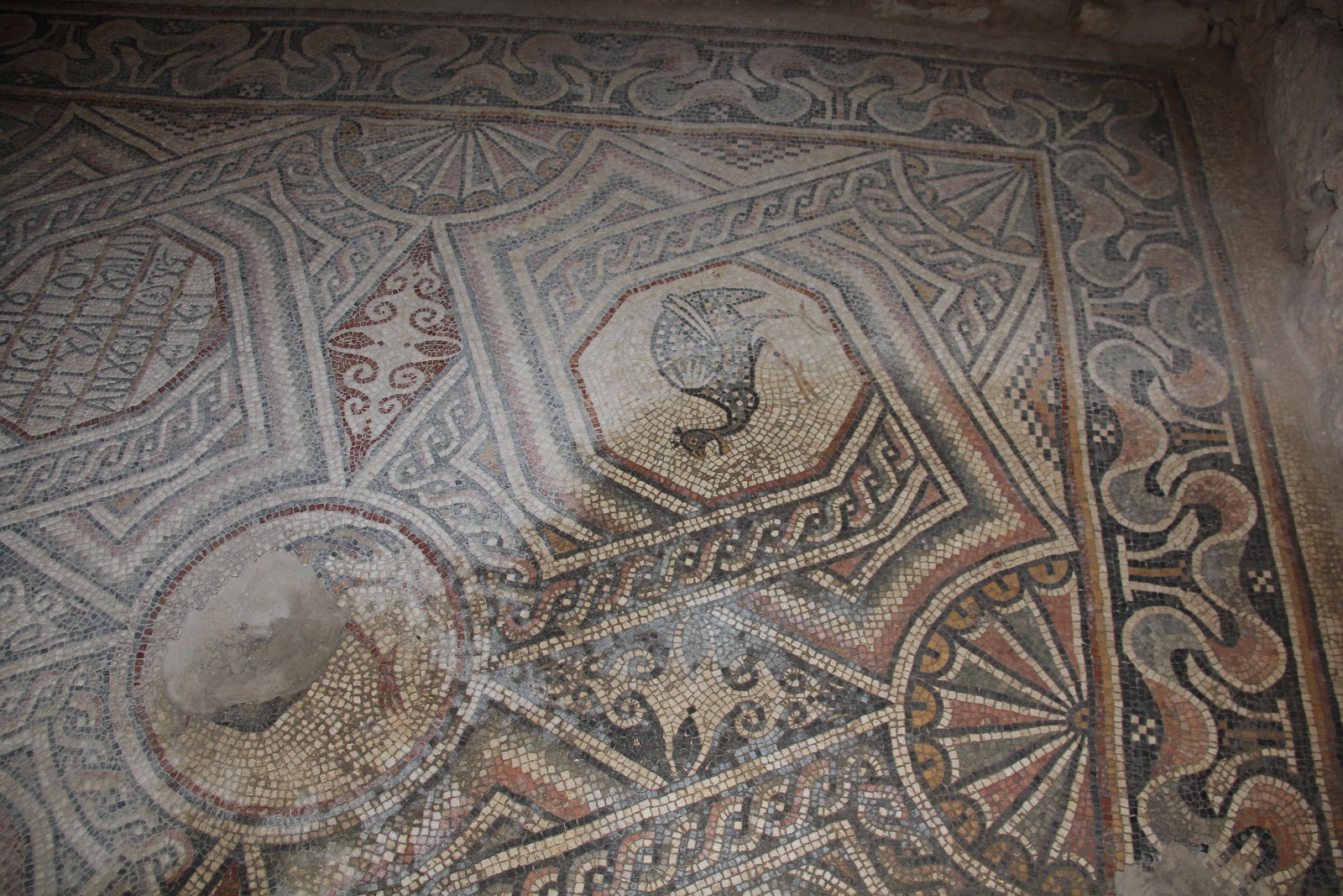 Madaba Archaeological Park 3