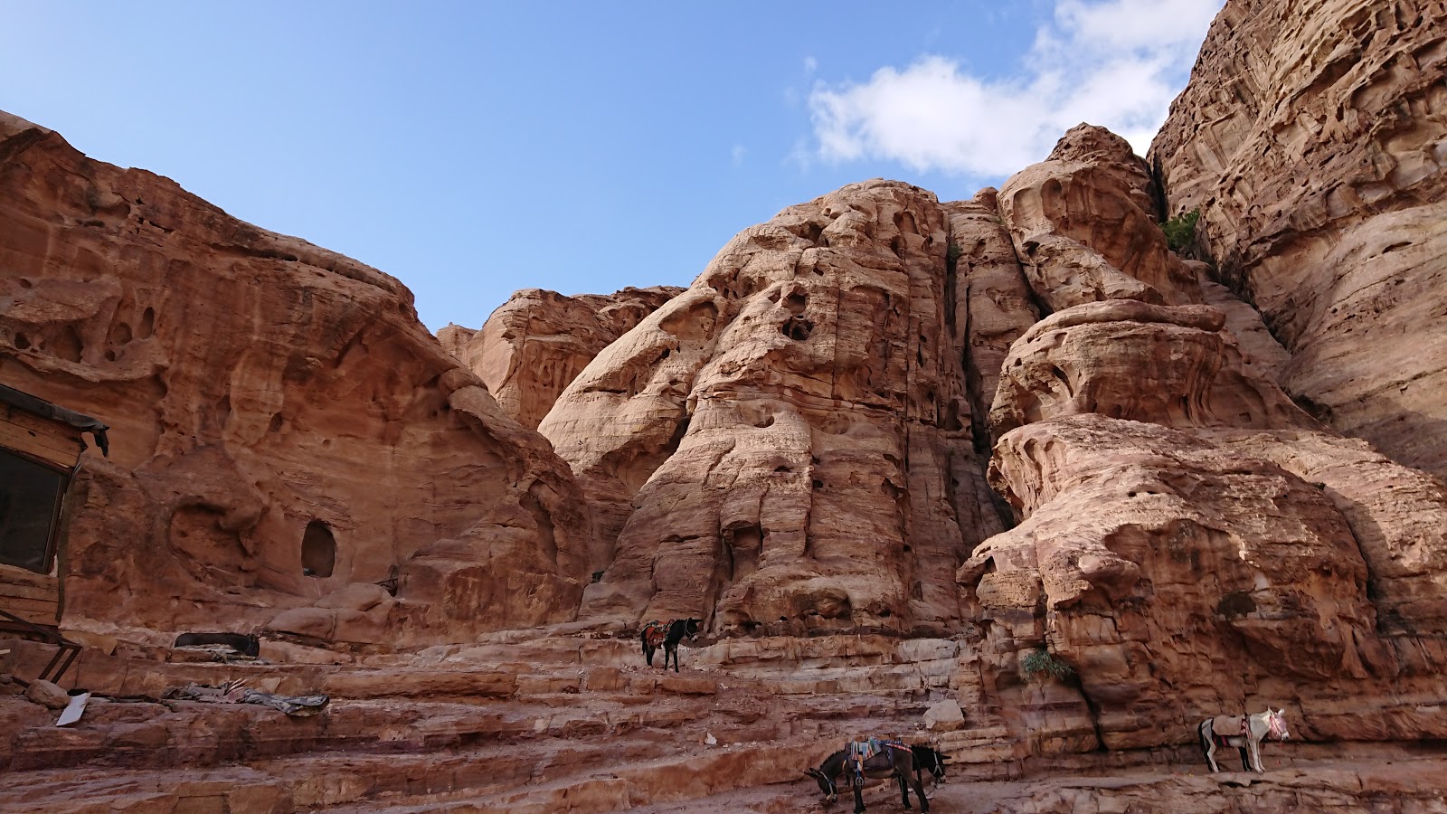 Ad-Deir 3