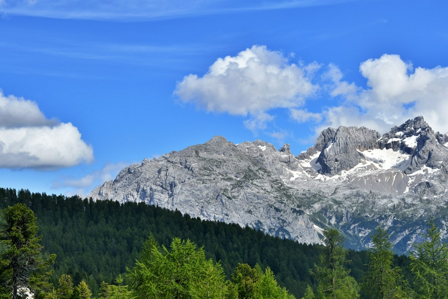 City of Carpi Refuge 3