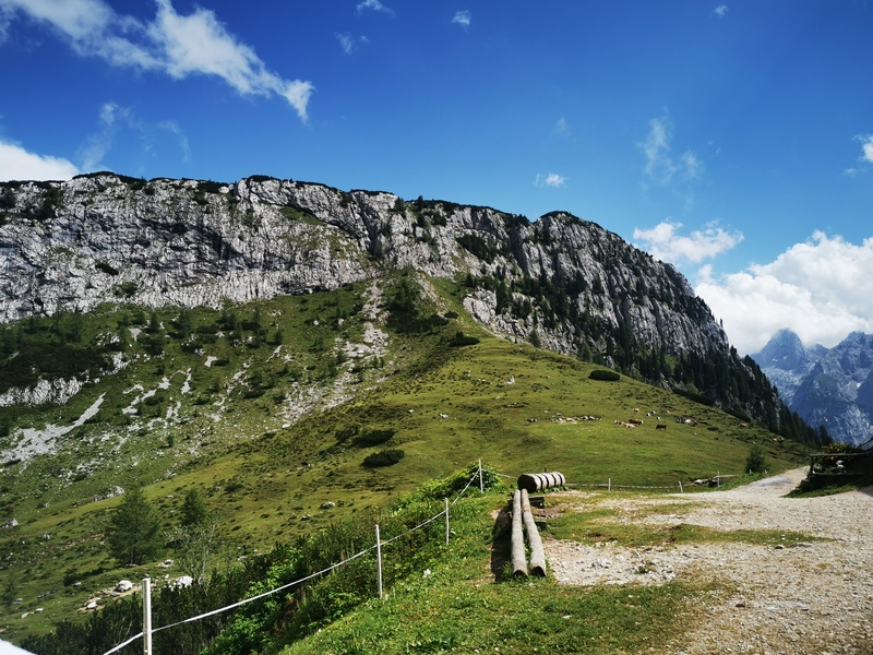 Lake Misurina: the pearl of Cadore 4