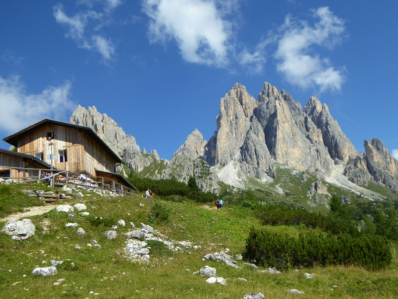 City of Carpi Refuge 2