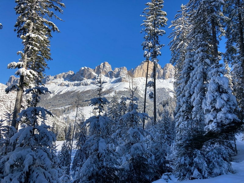 Suspension bridge at Lago di Carezza, a scenic alpine lake in Italy.