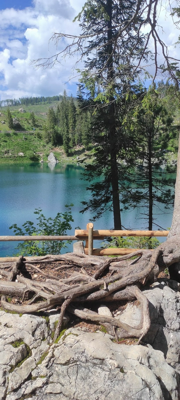 Carezza Lake 3
