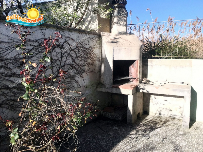 A vibrant outdoor barbecue setup on a patio with lush plants.