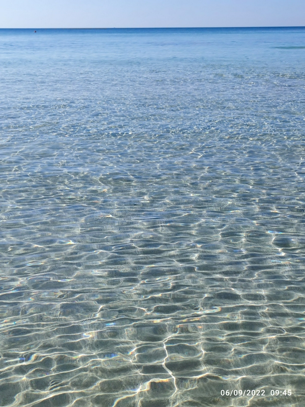 Expansive ocean view at Punta Prosciutto Beach with crystal clear water.