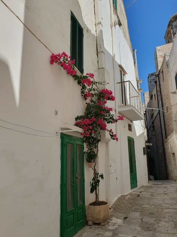 Historic architecture of Ostuni with scenic landscapes