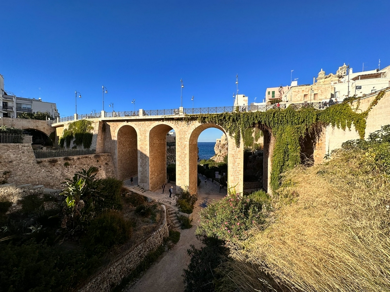 A beautiful stone bridge with arches in a natural outdoor setting.