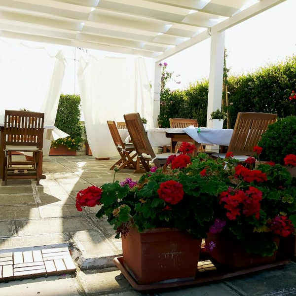 Outdoor patio with furniture, flowers, and a garden setting.