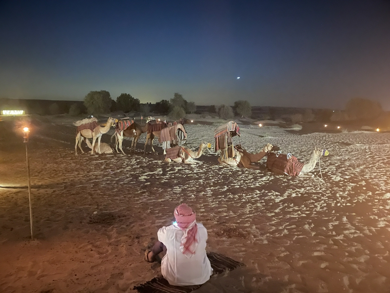 Dubai and the Desert 1