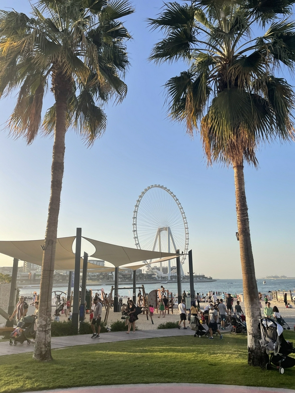 Morning Marina Walk hero