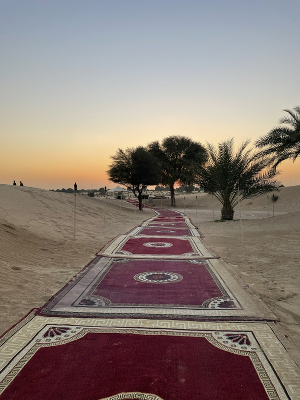 Dubai and the Desert 2