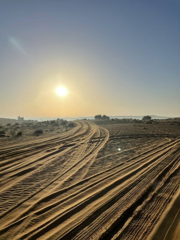 Bedouin Culture Safari 2