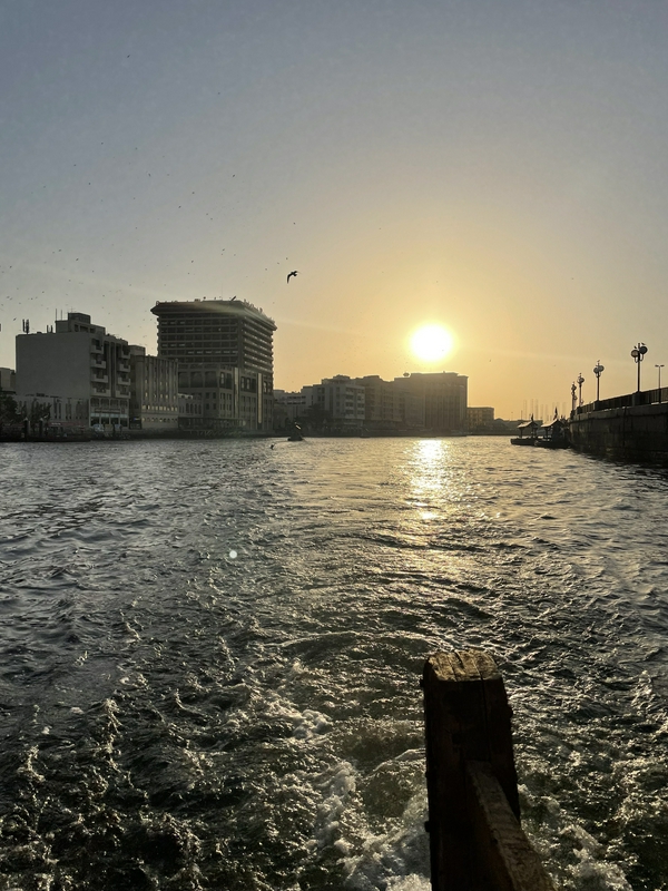 Lost in the Souk Market 1