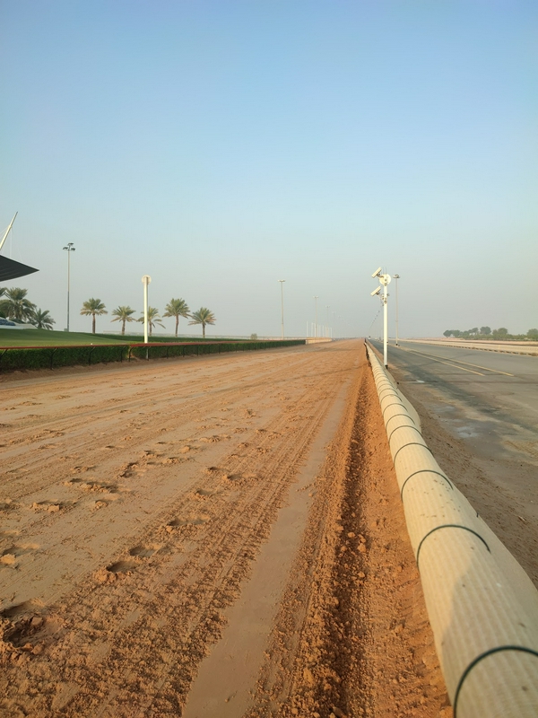 Camel racing event at Al Marmoom Heritage Village in the UAE.
