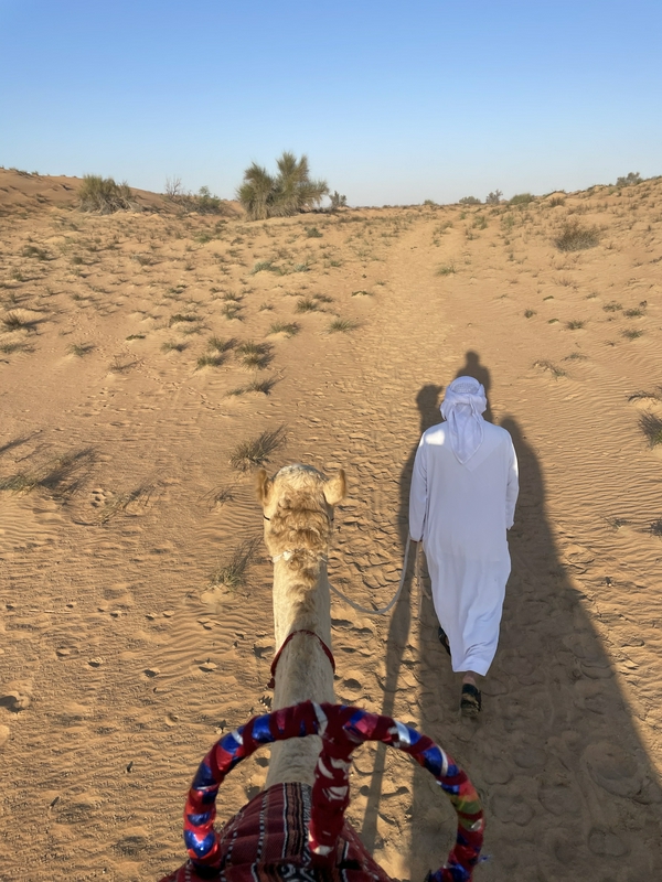 Bedouin Culture Safari 3