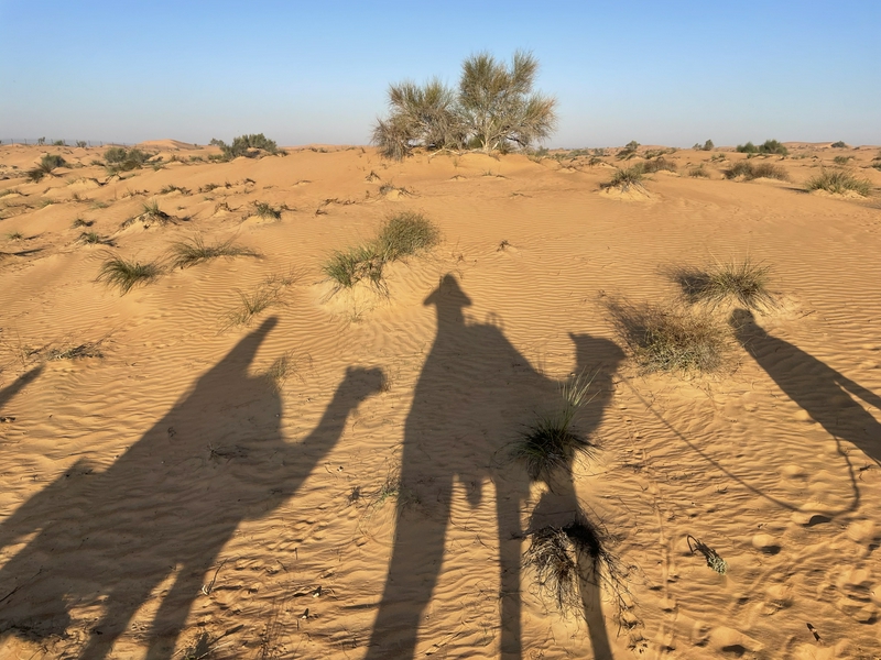 A Glimpse into The Empty Quarter hero