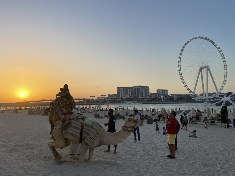 Dubai and the Desert 4