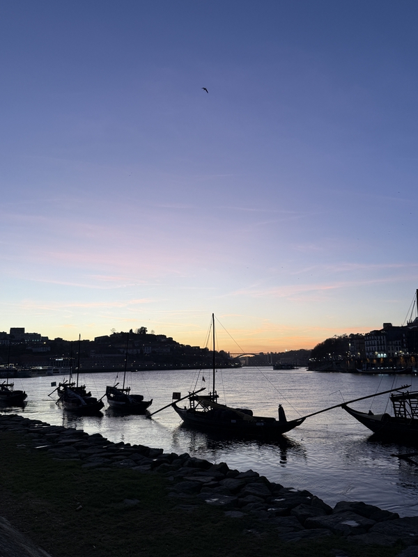 New Town of Gaia hero