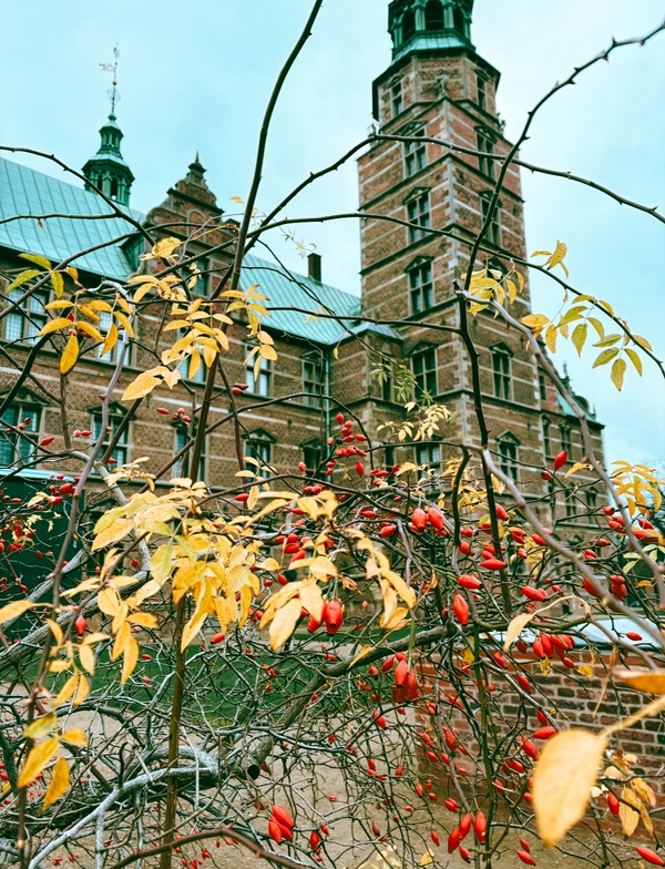 The country with the best lifestyle in the world 4