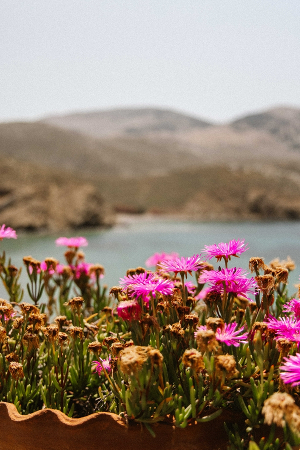 Toli Beach on Symi Island, showcasing clear waters and rocky hills.
