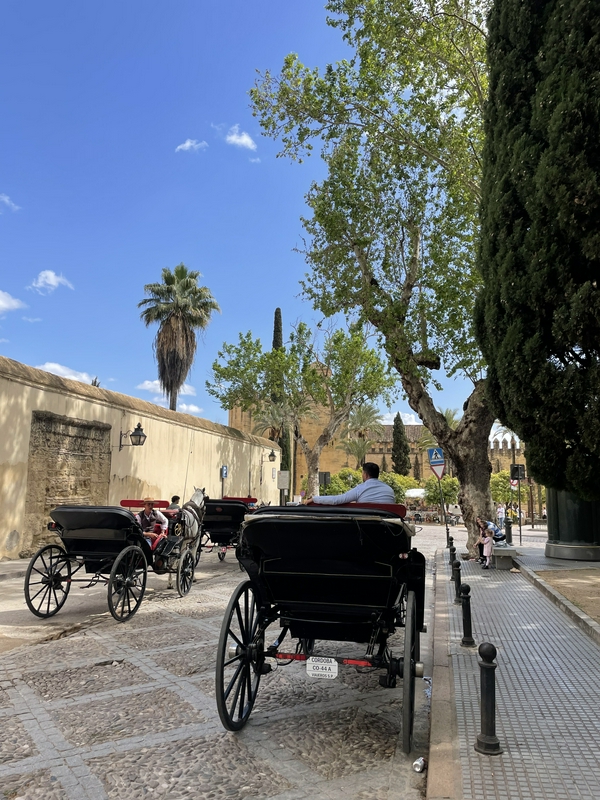 Cordova and the roots of al-Andalus 3