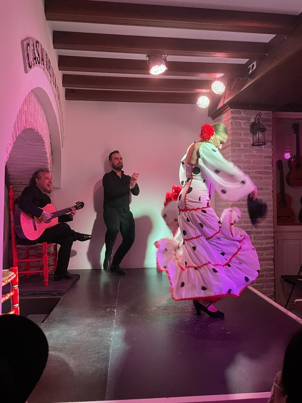 Flamenco at the House of the Guitar hero
