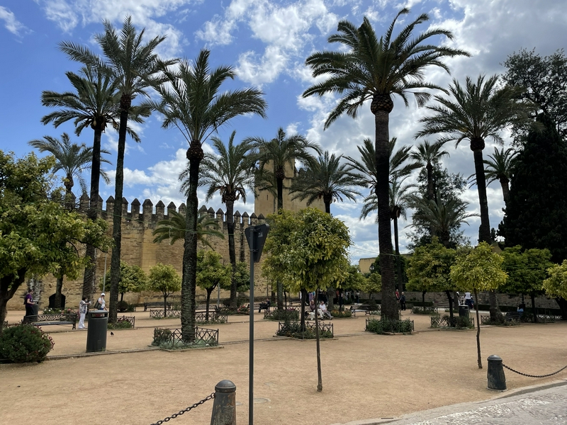 Cordova and the roots of al-Andalus 4